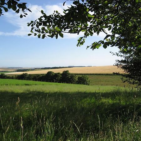 Seggat Farm Holiday Cottages Kirktown of Auchterless Kültér fotó
